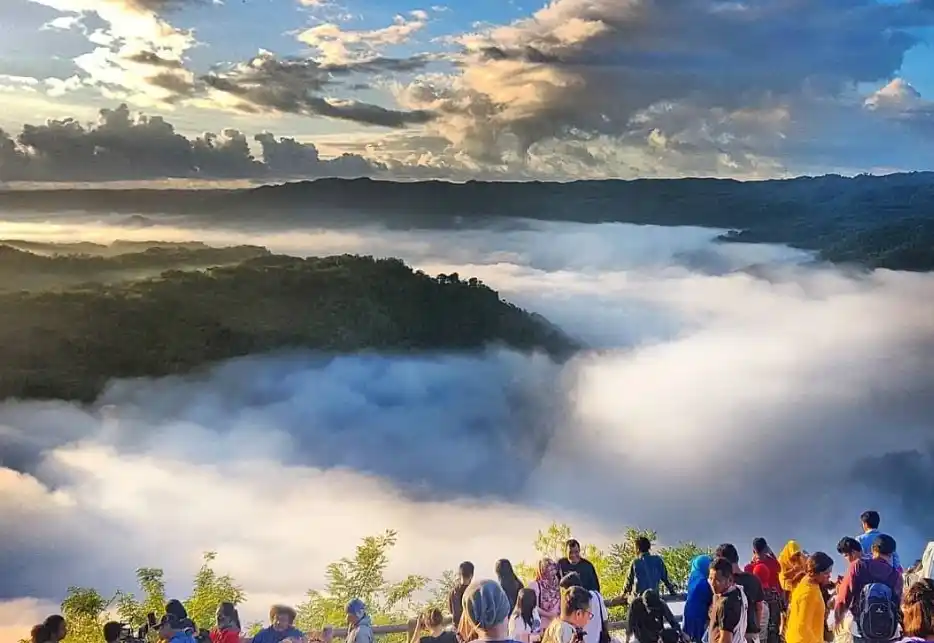 Kebun Buah Mangunan – wisata Bantul Yogyakarta